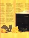 Scan10046